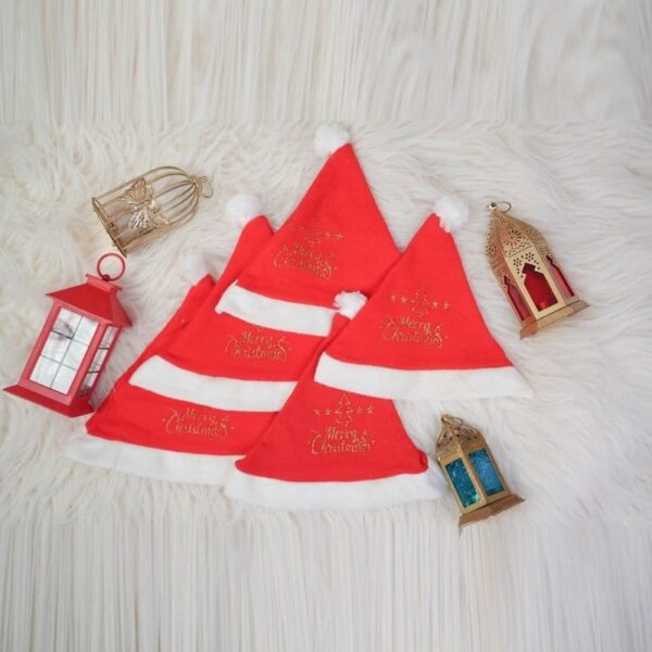 Christmas Santa Cap (5 Pcs Set)