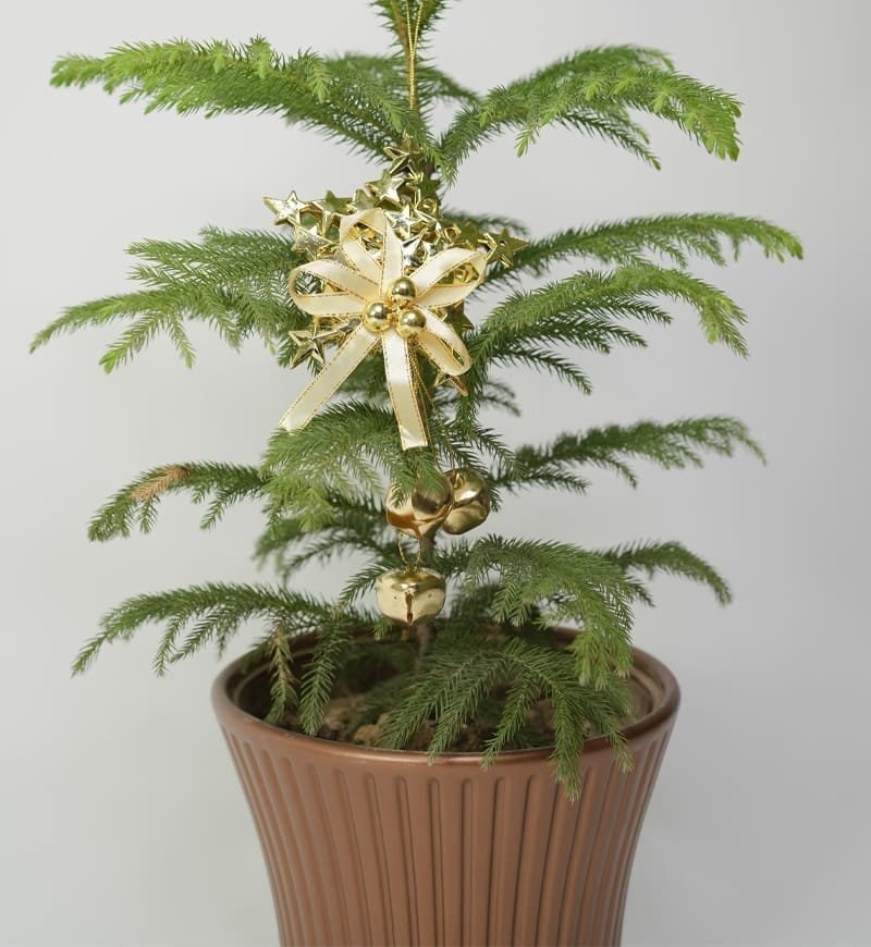 Christmas Star Shaped Golden Bell Decoration Hanging - Image 2